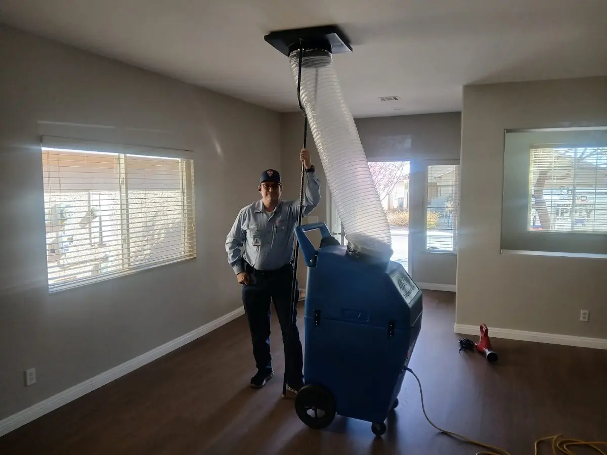 Professional Dryer Vent Cleaning work inside a Gloucester Point home